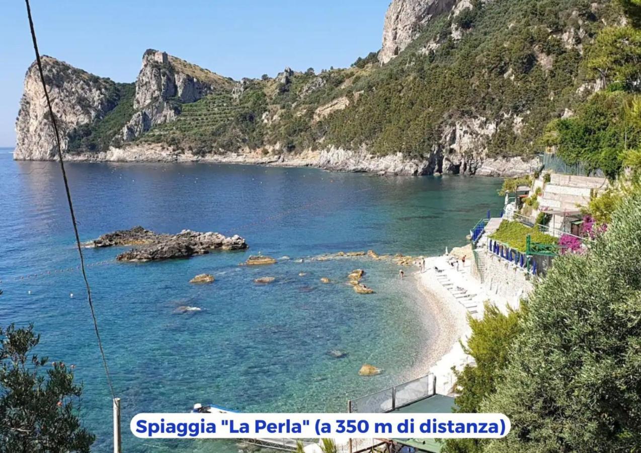 Siren Land - Marina Del Cantone Nerano Extérieur photo